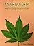 MARIJUANA - First Edition: Guide to Buying, Growing, Harvesting, and Making Medical Marijuana Oil and Delicious Chocolates to Treat Pain and Ailments