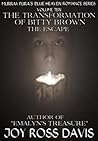 The Transformation of Bitty Brown - The Escape by Joy Ross Davis