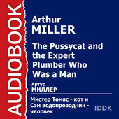 The Pussycat and the Expert Plumber who was a Man
