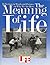 The Meaning Of Life: Reflec...