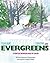 Sugar White Snow and Evergr...
