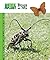 Bugs as Pets by Jay F. Hemdal