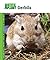 Gerbils (Animal Planet Pet Care Library)