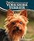 Yorkshire Terrier (DogLife)