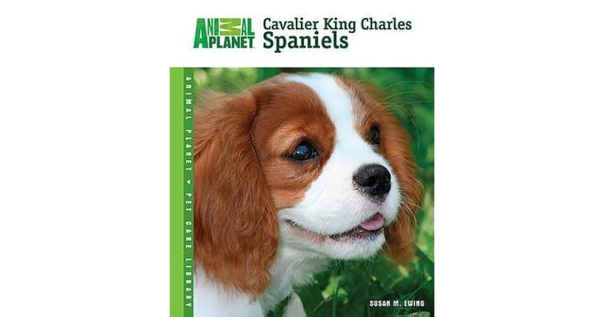 Cavalier King Charles Spaniels by Susan M. Ewing
