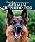German Shepherd Dog by Cindy Victor