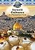 Israeli Culture in Perspective (World Cultures in Perspective)