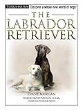 The Labrador Retriever