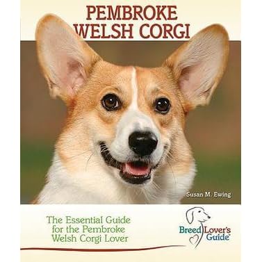 welsh corgi lovers