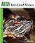 Red-Eared Sliders (Animal Planet Pet Care Library)