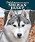 Siberian Husky (DogLife)