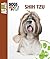 Shih Tzu (Animal Planet Dogs 101)
