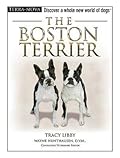 The Boston Terrier