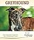 Greyhound: The Essential Gu...