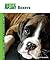 Boxers (Animal Planet Pet Care Library)