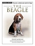 The Beagle