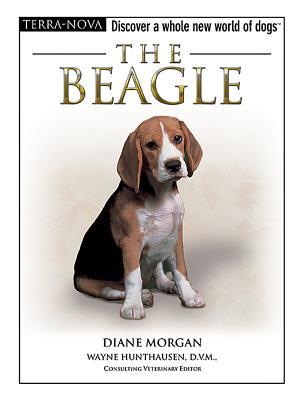 The Beagle (Terra-Nova)