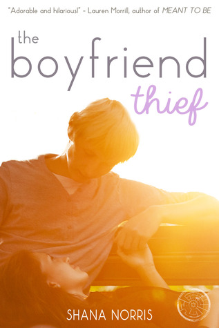 The Boyfriend Thief (Stolen Kiss, #1)