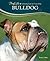 Bulldog
