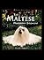 The Maltese : Diminutive Aristocrat