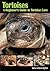 Tortoises: A Beginner's Guide to Tortoise Care