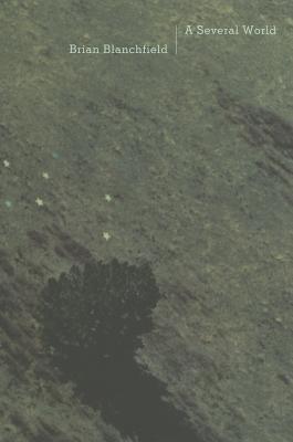 A Several World (Paperback)