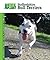 Staffordshire Bull Terriers by Tracy Libby