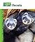 Ferrets
