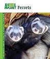 Ferrets by Vickie Mckimmey