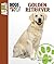Golden Retriever (Animal Planet Dogs 101)