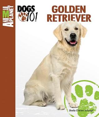 Golden Retriever (Animal Planet Dogs 101)