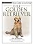 The Golden Retriever by Eve Adamson MFA