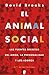 El animal social by David  Brooks