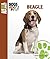 Beagle (Animal Planet Dogs 101)