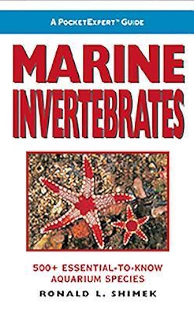 Marine Invertebrates
