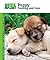 Puppy Training and Care