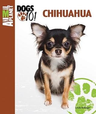 Chihuahua (Animal Planet Dogs 101)