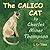 The Calico Cat