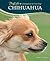 Chihuahua (DogLife)