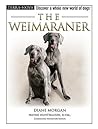 The Weimaraner (Terra-Nova)