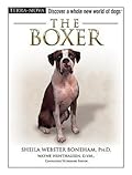 The Boxer