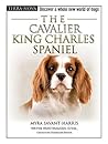 The Cavalier King...