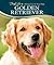 Golden Retriever by Susan McCullough