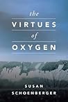 The Virtues of Oxygen