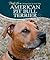 American Pit Bull Terrier (DogLife)