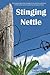 Stinging Nettle by Carola Schlatter