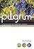 Pilgrim: The Beatitudes: A Course for the Christian Journey (Follow Stage, Level 4)
