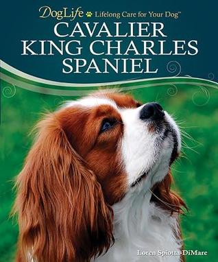 Cavalier King Charles Spaniel (DogLife)