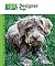 Designer Dogs (Animal Planet Pet Care Library)