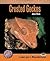 Crested Geckos: A Complete Guide to Rhacodactylus (Complete Herp Care)